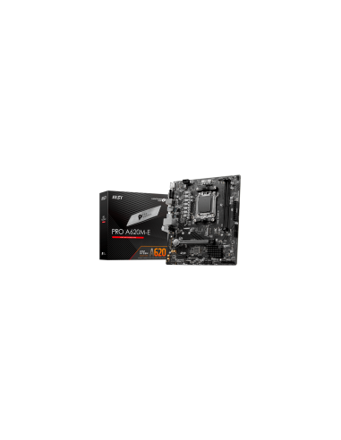MSI PRO A620M-E